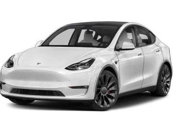 TESLA MODEL Y 2021 5YJYGDEE1MF244869 image